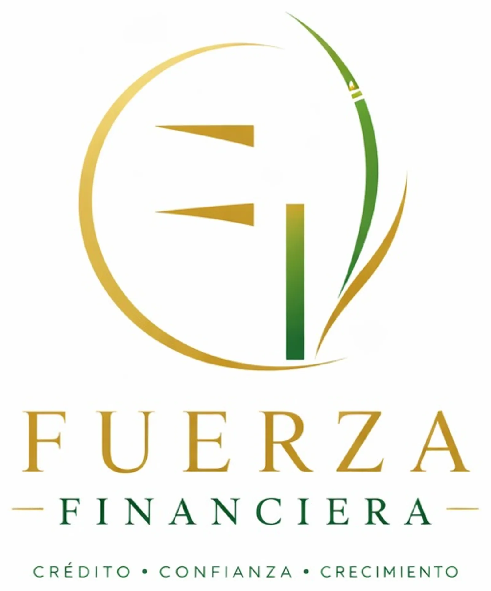 Fuerza Financiera
